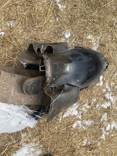 В Боханском районе полицейские установили подозреваемого в краже коней